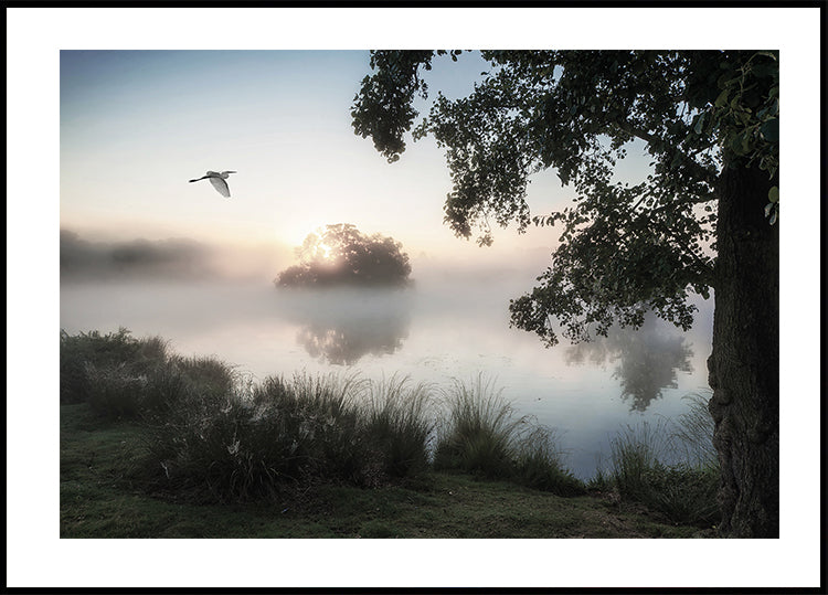 Heron Flying Over a Foggy Lake Poster - Posterbox.art