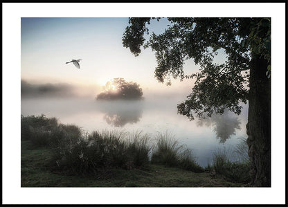Heron Flying Over a Foggy Lake Poster - Posterbox.art