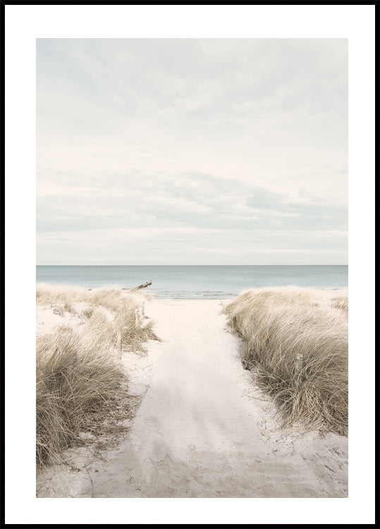 Sandy Path To The Sea Poster