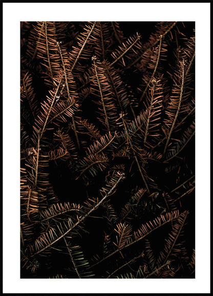 Fir Needle No. 1 Poster - Posterbox.art