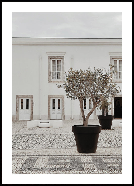 Olive Trees In The City Poster - Posterbox.art