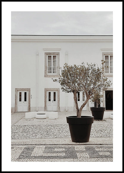 Olive Trees In The City Poster - Posterbox.art