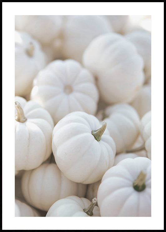 White Pumpkins Aesthetic Poster