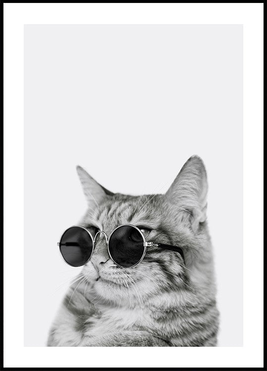 Cool Cat in Shades Poster