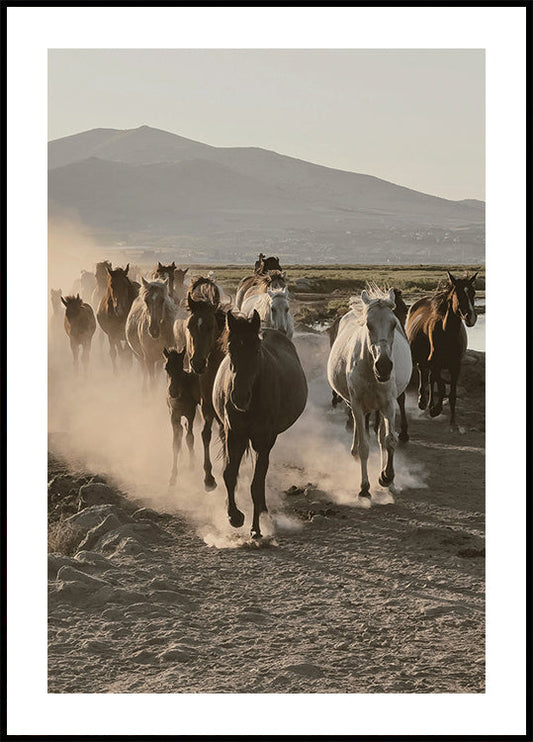 Wild Horses Running Poster