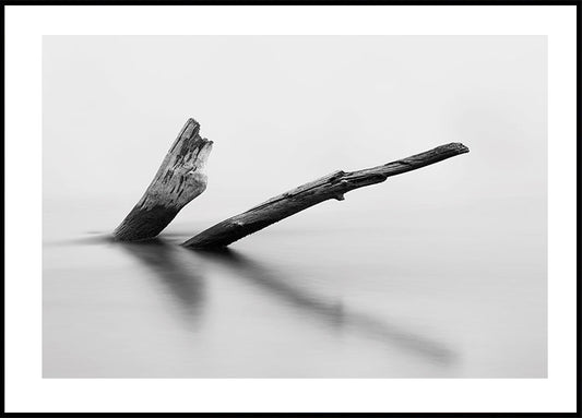 Wooden Log In The Water Poster