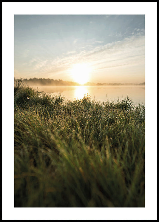 Dewy Dawn by the Lake Poster