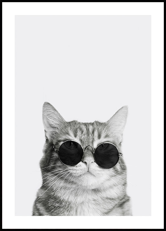 Sophisticated Feline in Sunglasses Poster