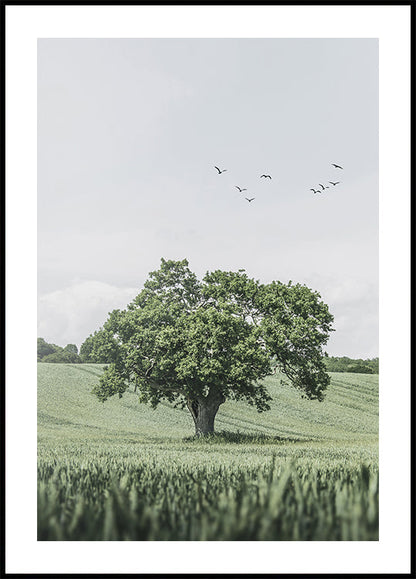 Green Tree In The Field Poster