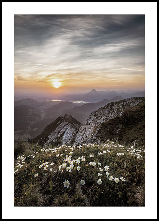 Sunrise Over Mountain Wildflowers Poster - Posterbox.art