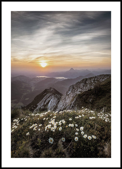 Sunrise Over Mountain Wildflowers Poster - Posterbox.art