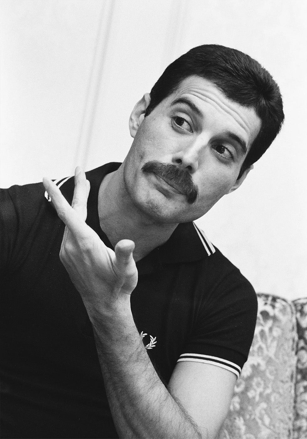 Freddie Mercury Poster