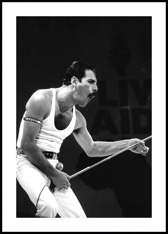 Freddie Mercury on Stage Poster - Posterbox.art