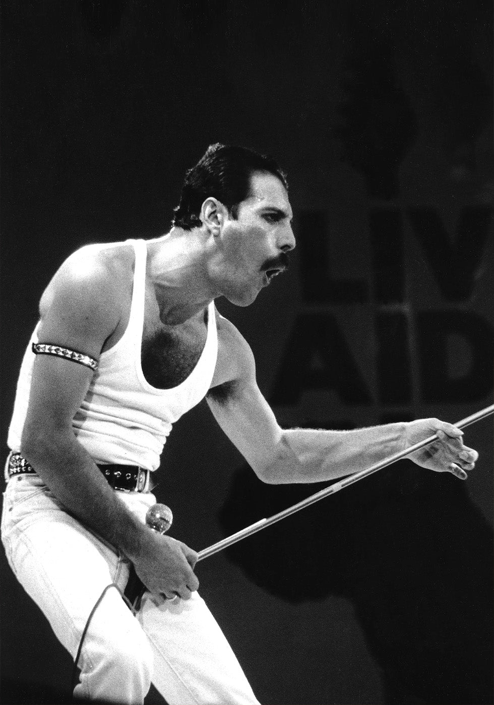 Freddie Mercury on Stage Poster - Posterbox.art