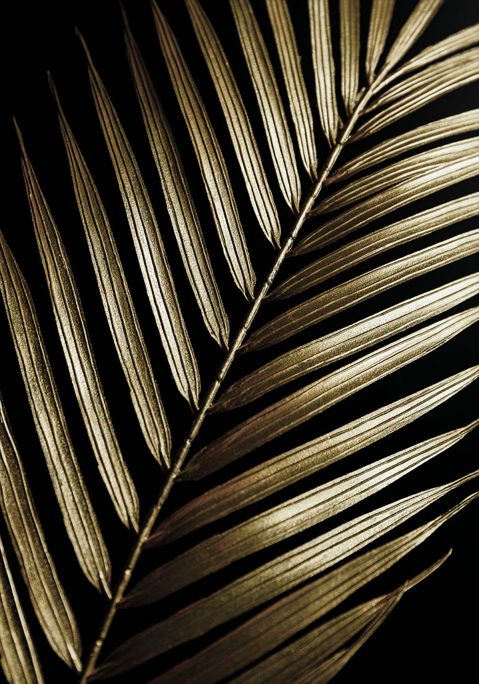 Golden Palm Leaf Poster