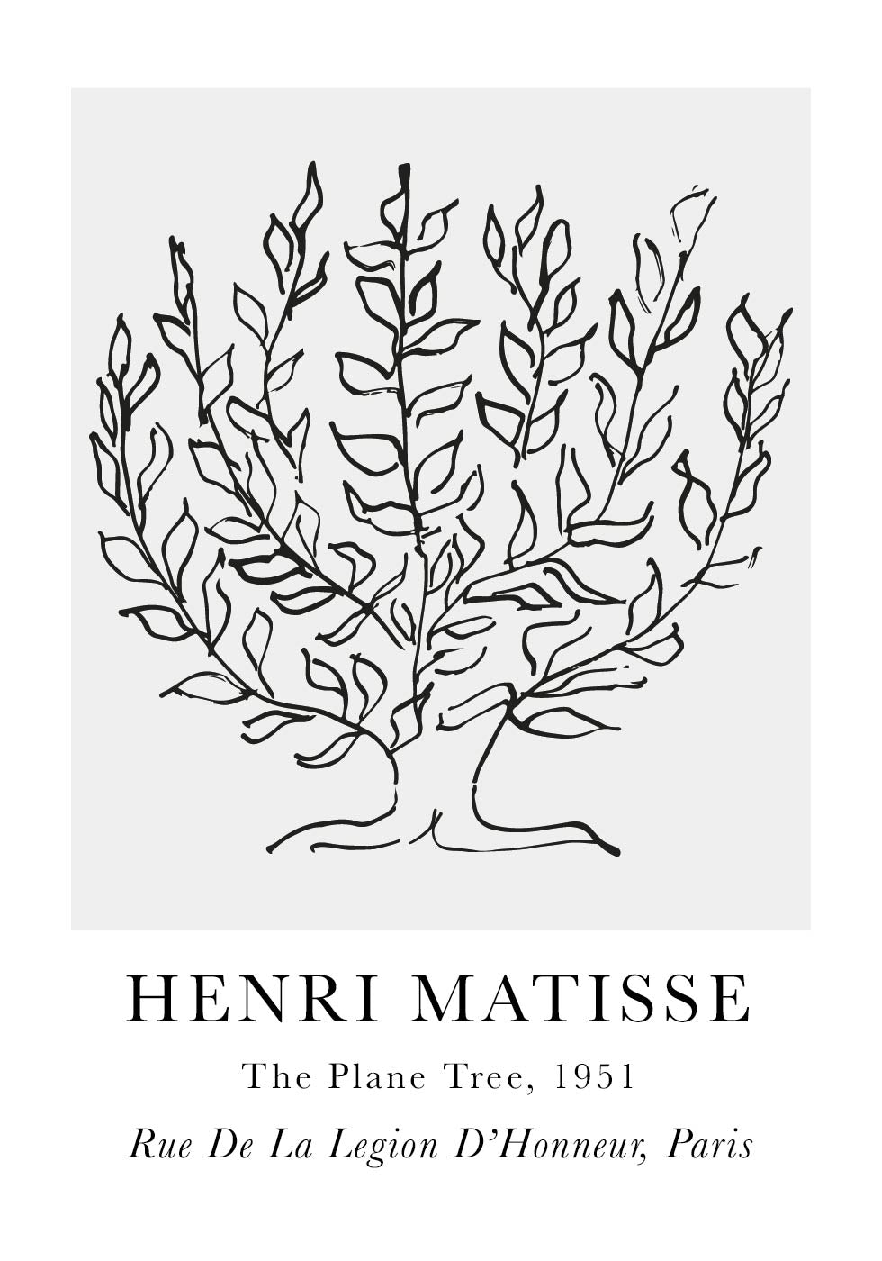 H. Matisse The Plane Tree Poster - Posterbox.art