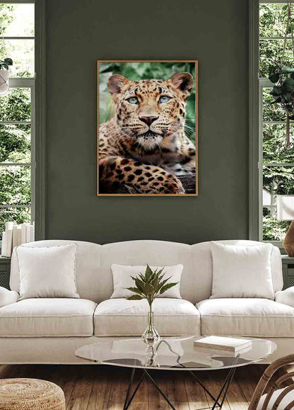 Leopard Portrait Poster