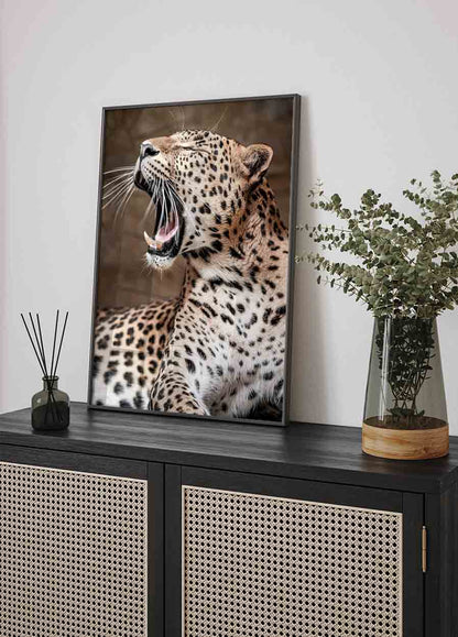 Leopard Roaring in Nature Poster