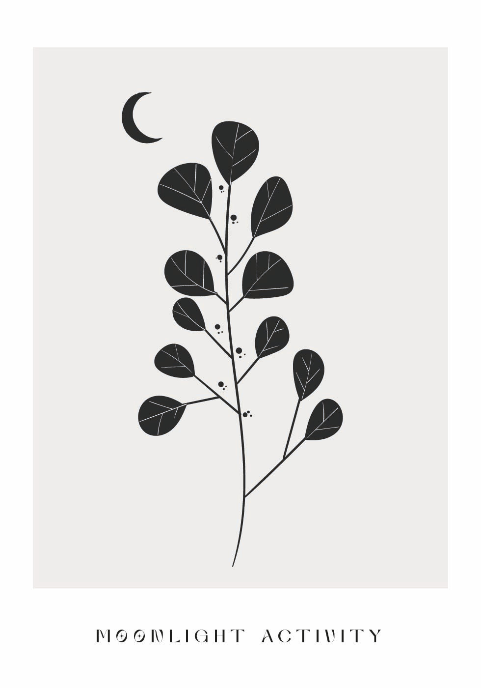 Moonlight Activity No. 3 Poster - Posterbox.art