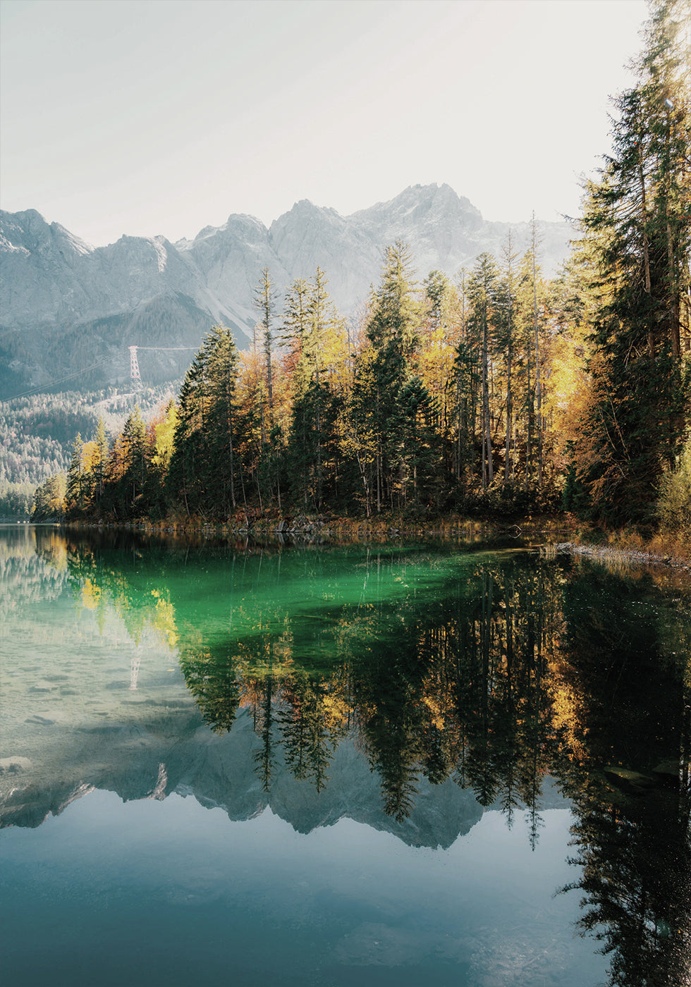 Morning Reflection by the Lake Poster