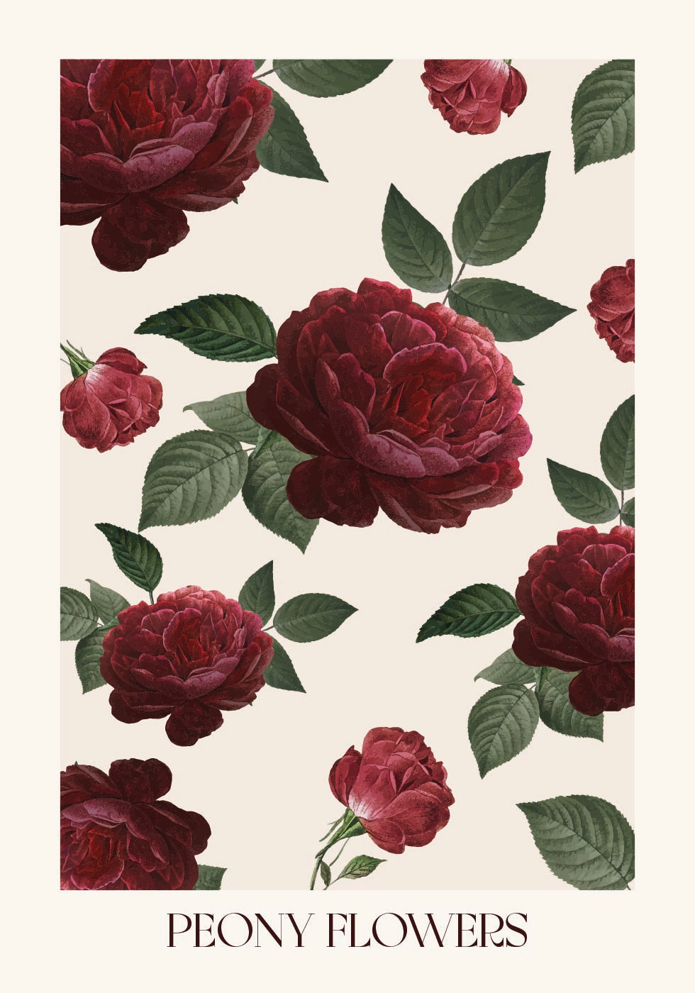 Peony Flowers Poster