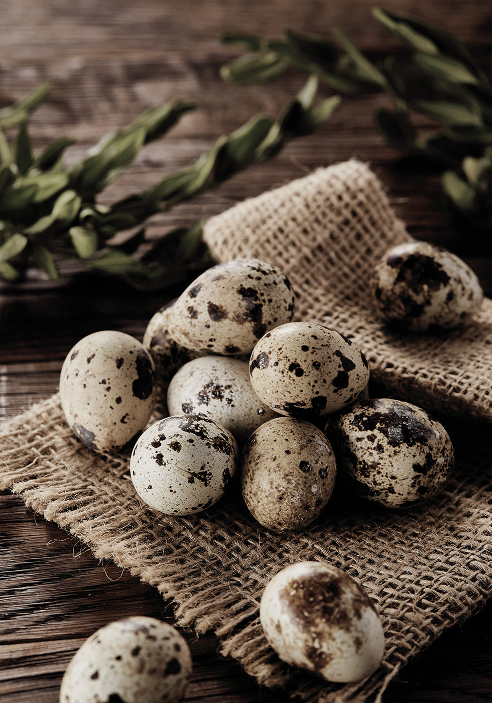 Quail Eggs on Rustic Burlap Poster