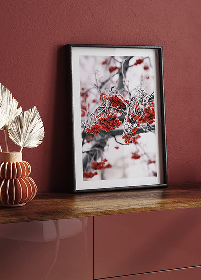 Frosted Red Berries on Winter Branches Poster - Posterbox.art