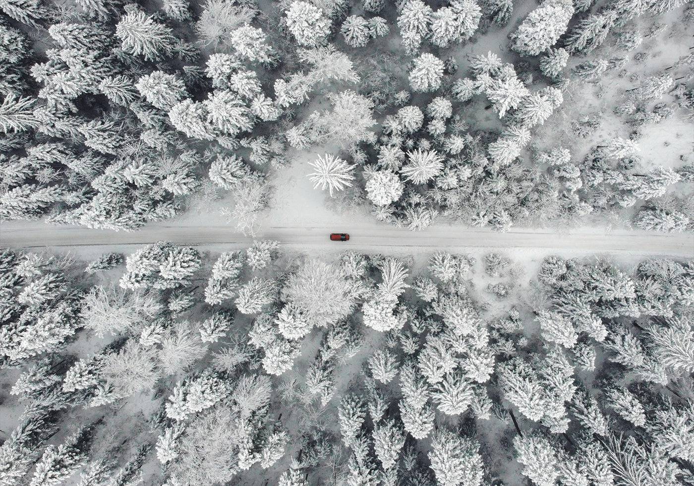 Red Car Driving Through Snowy Forest - Posterbox.art