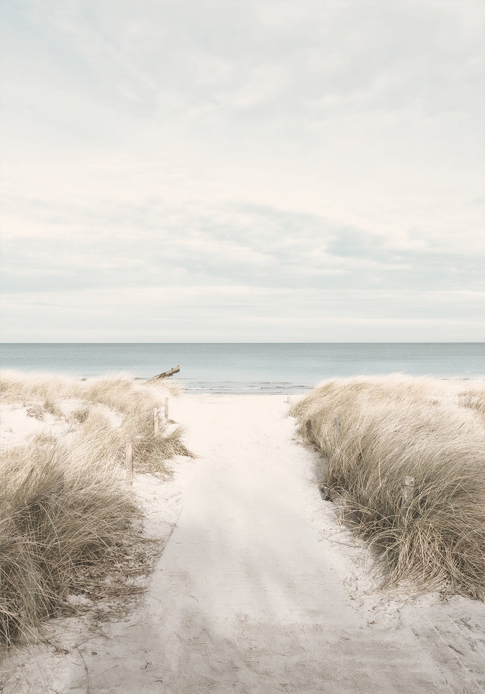 Sandy Path To The Sea Poster