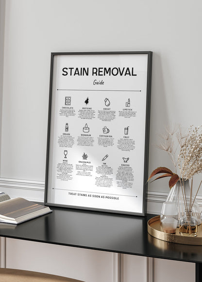 Stain Removal Guide Poster