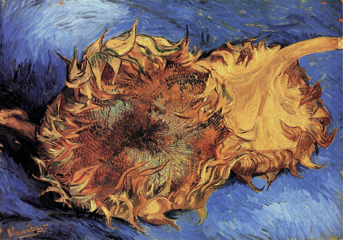 Sunflowers in Dried Beauty Poster - Posterbox.art