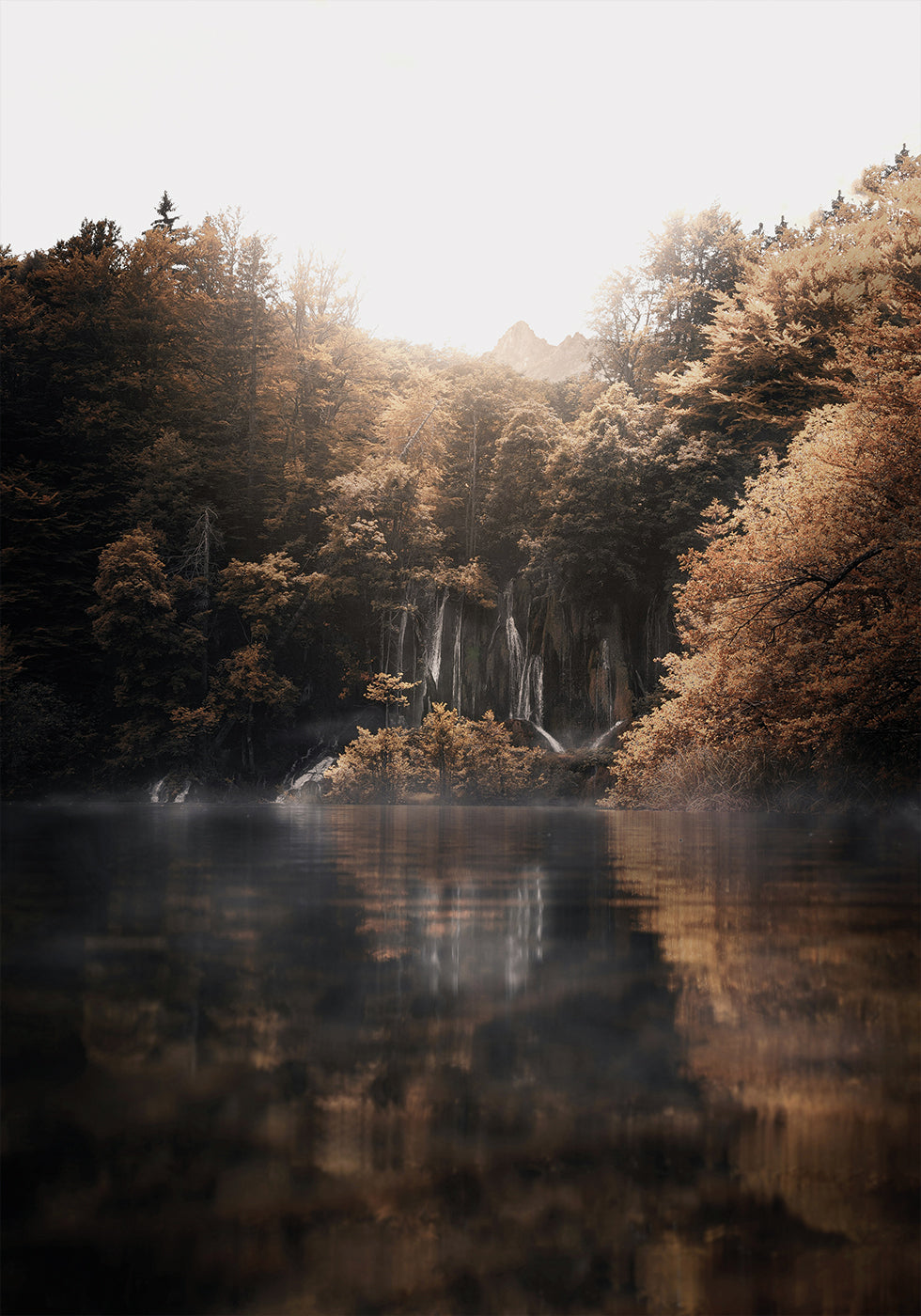 Sunrise in the Misty Forest with Reflections Poster