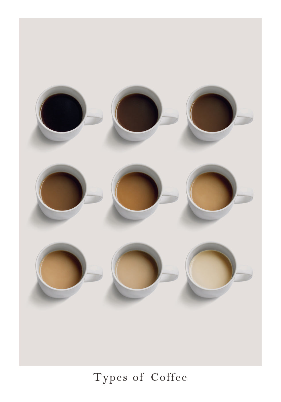 Types of Coffee Poster