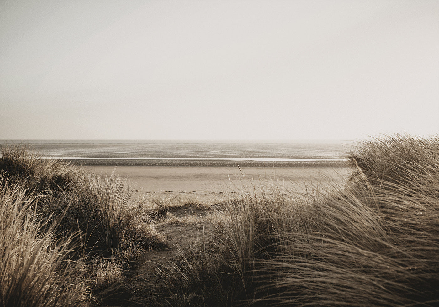 View Of The Beach From Behind The Grass Poster