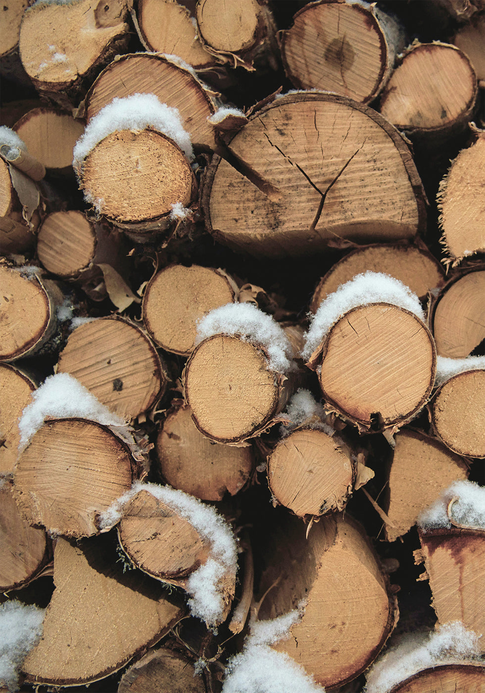 Wooden Logs Poster - Posterbox.art
