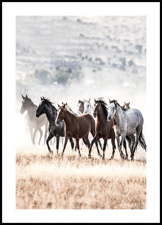 Wild Horses Free Spirit Poster - Posterbox.art