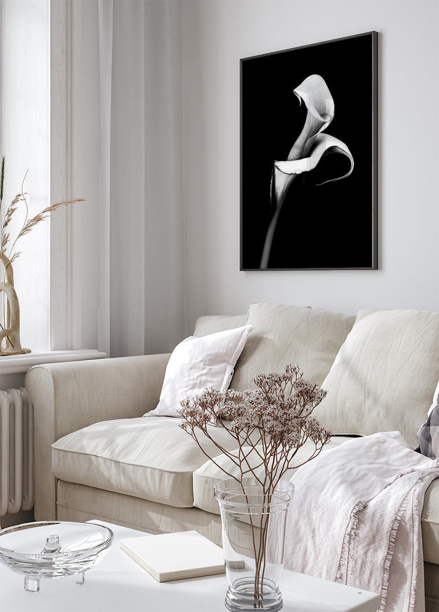 Calla Lily Poster - Posterbox.art
