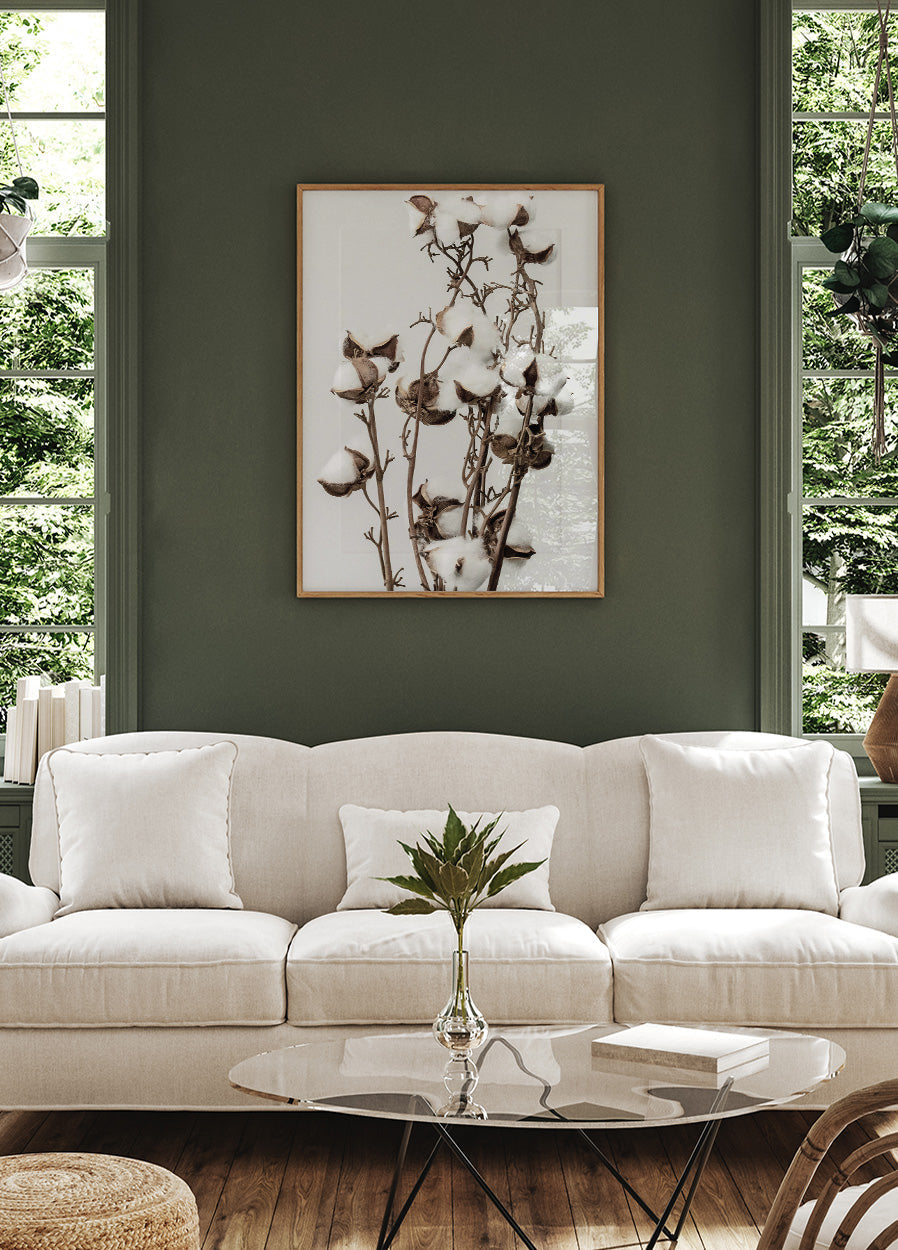 Dry Cotton Plant Poster - Posterbox.art