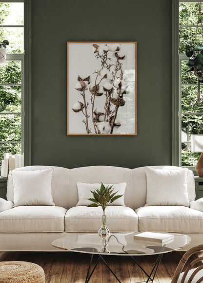 Dry Cotton Plant Poster - Posterbox.art