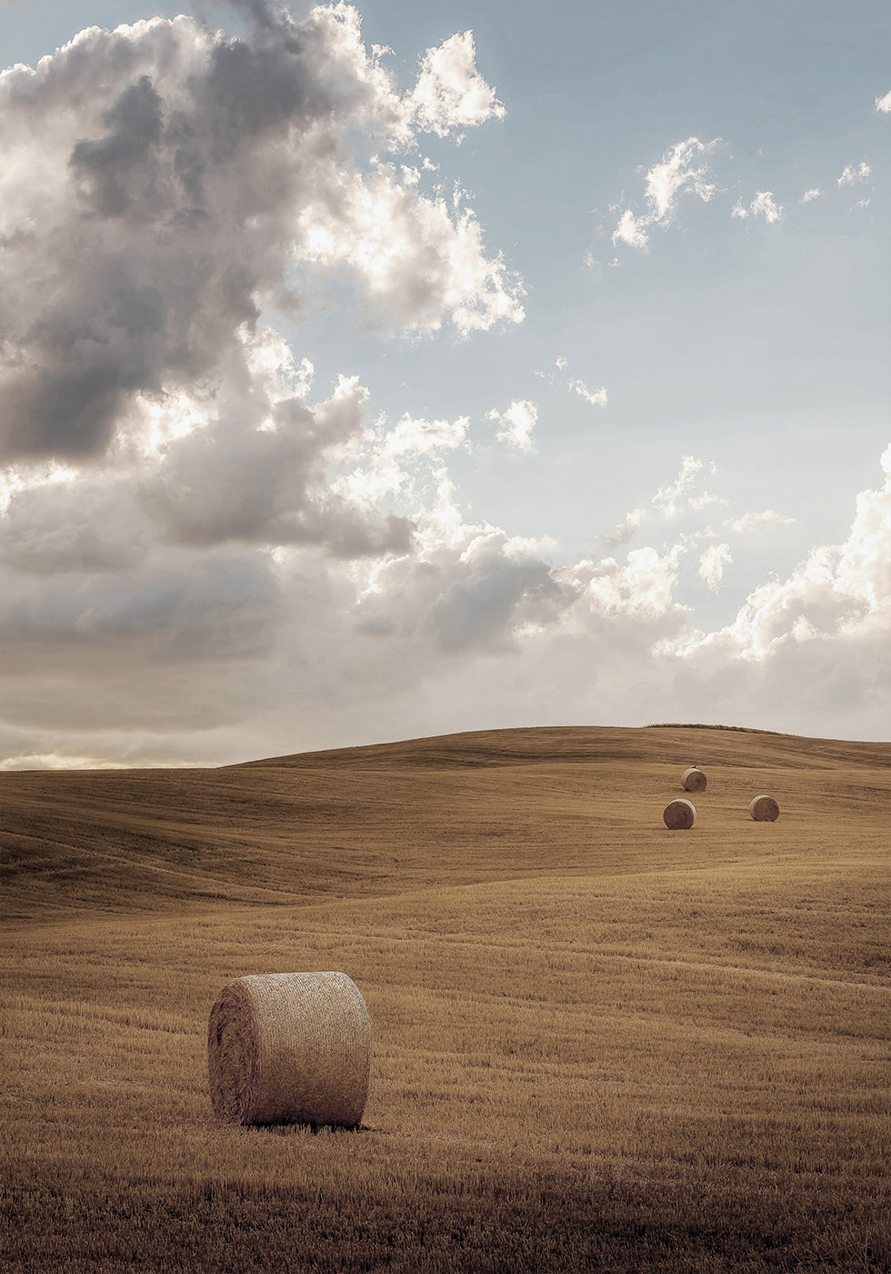 Field with Bales of Hay Poster - Posterbox.art
