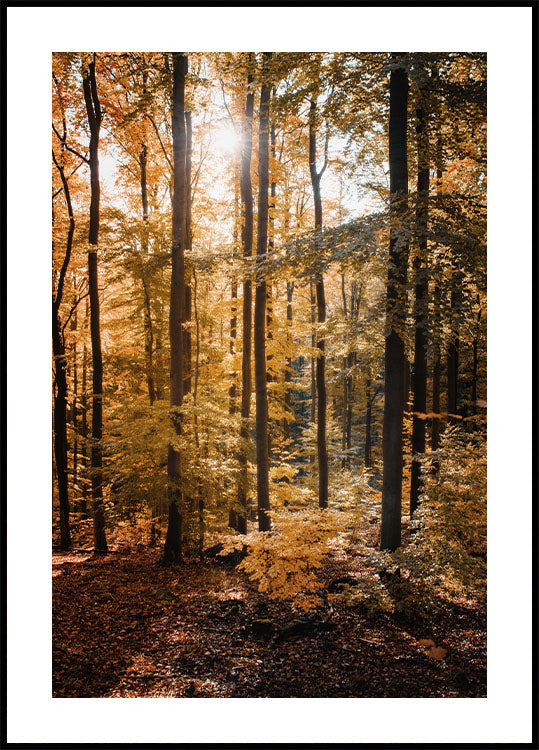Forest Poster - Posterbox.art