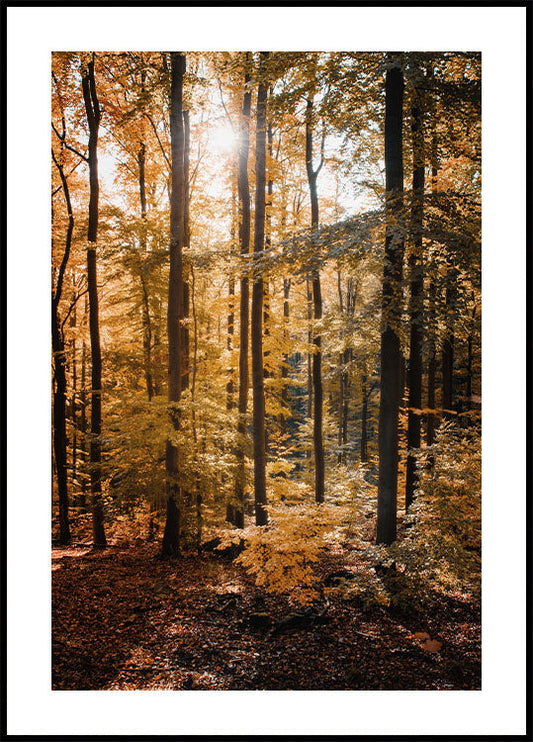 Forest Poster - Posterbox.art