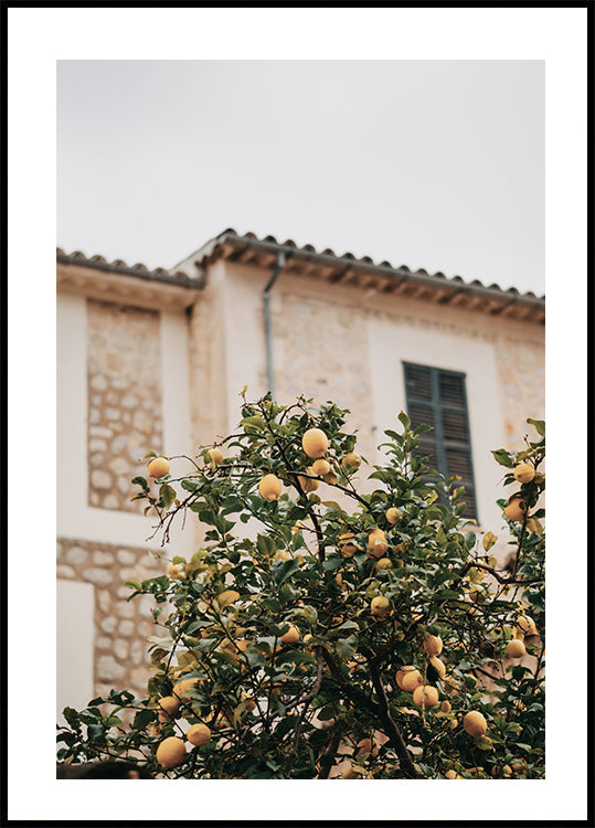 Lemons Poster - Posterbox.art