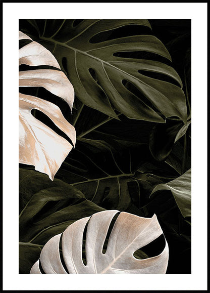 Golden Monstera Leaves Poster