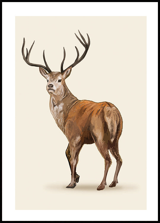 Elegant Brown Deer Poster