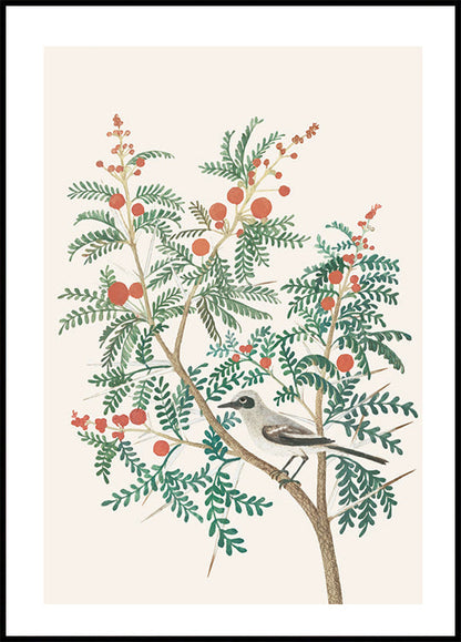 Bird on Berry-Laden Branch Poster - Posterbox.art