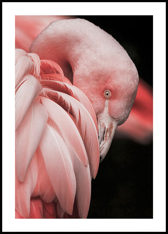 Flamingo Serenity Poster - Posterbox.art