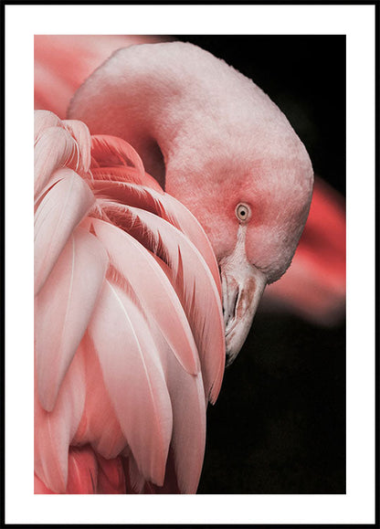 Flamingo Serenity Poster - Posterbox.art