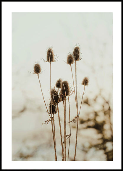 Reeds Poster - Posterbox.art