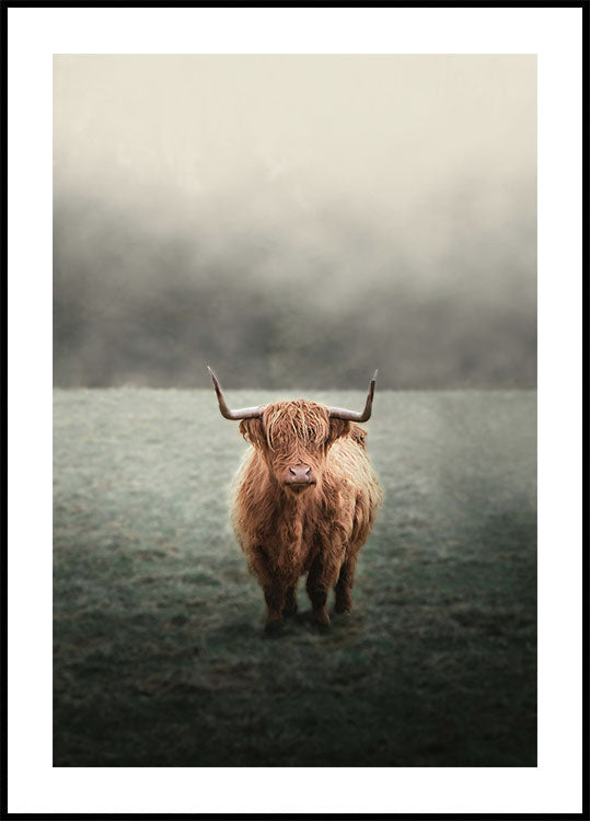 Highland Cow in Mist Poster - Posterbox.art